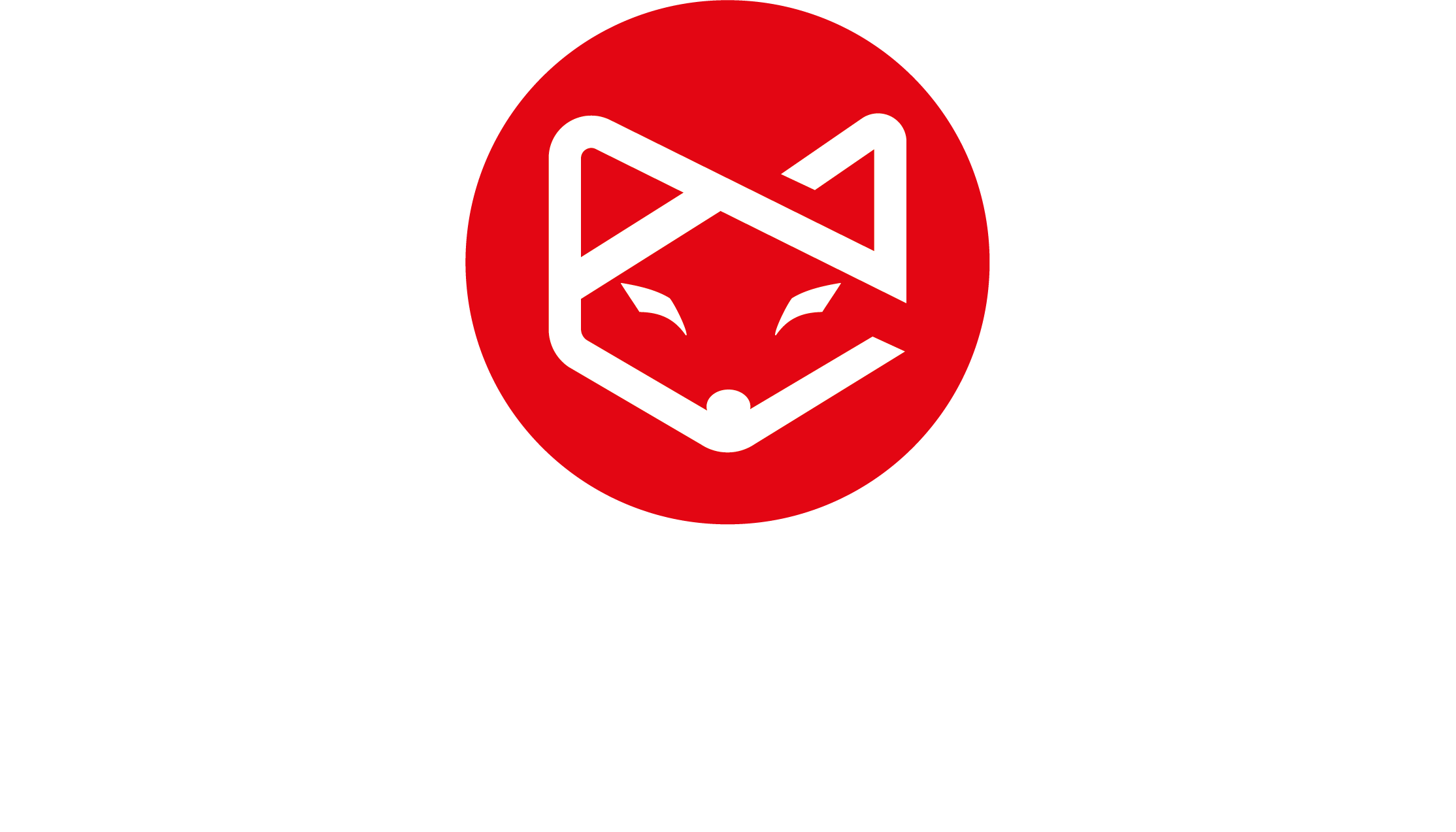 Valkonix Logo
